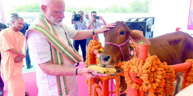 दहशतवादाची पाळेमुळे पाकिस्तानात ः पंतप्रधान दहशतवादाची पाळेमुळे पाकिस्तानात ः पंतप्रधान